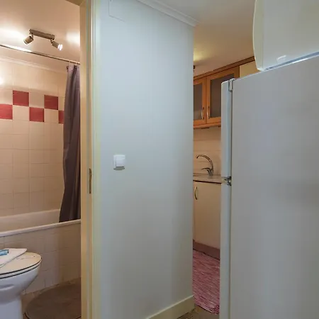 Renovated Flat Lisboa